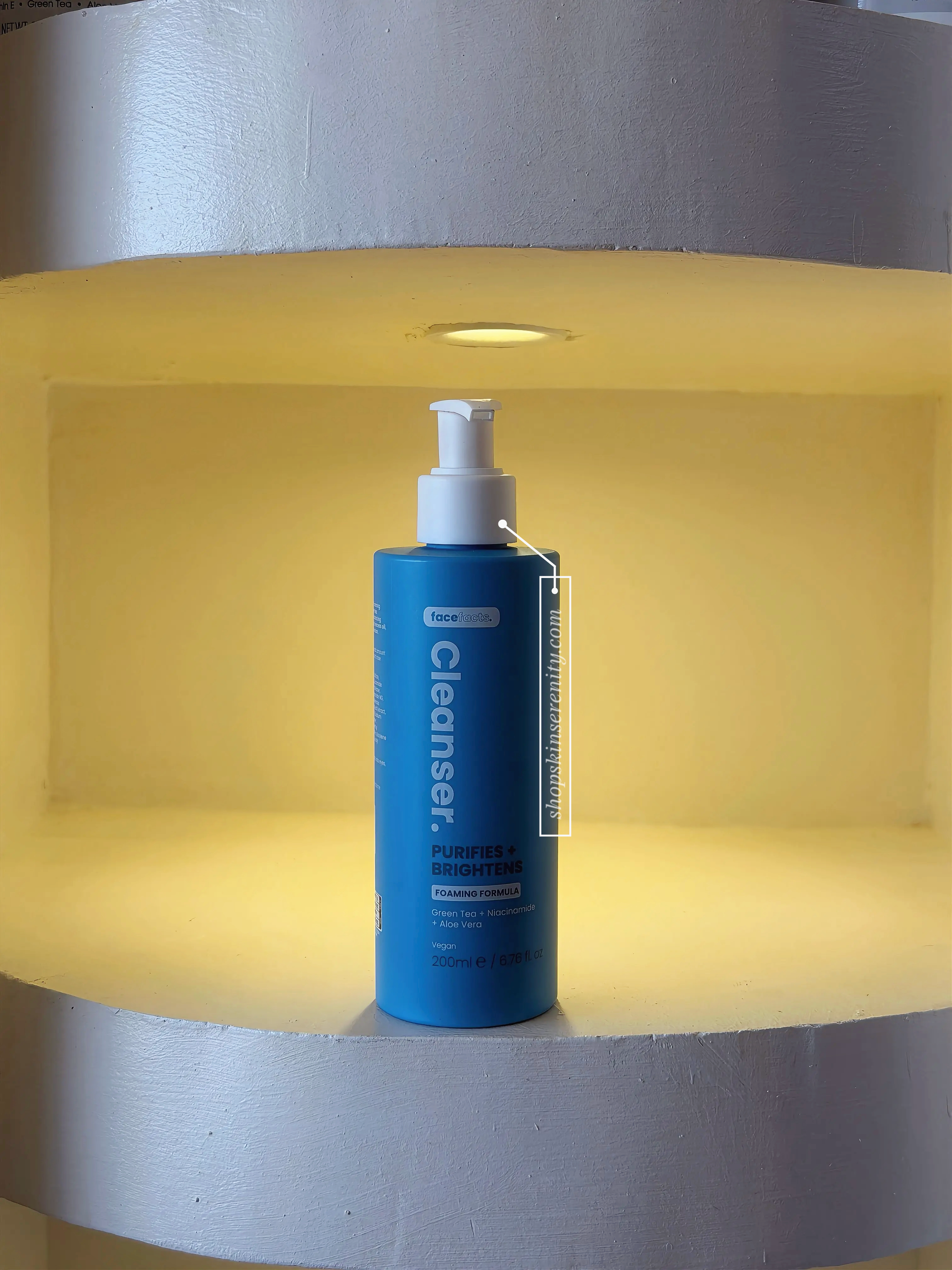 Face Facts Purifies + Brightens Cleanser